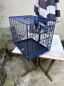 Dog Crate