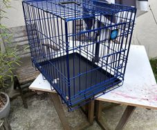 Dog Crate