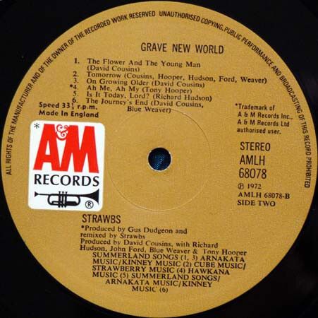Strawbs > Grave New World Vinyl LP