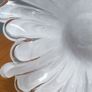 Murano Vase Image 5