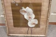 Picture for sale