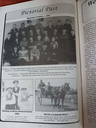 Grean/ 1992/ Pallasgrean Community Council