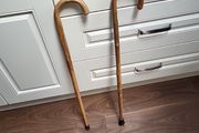 Walking sticks