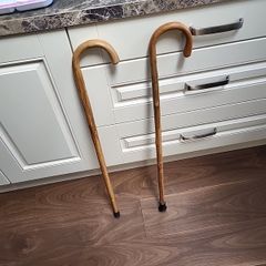 Walking sticks