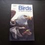 1987 "Field Guide To The Birds Of North America - National Geographic Society" Image 2