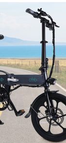 ebike fiido d2s