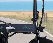 ebike fiido d2s
