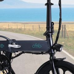ebike fiido d2s