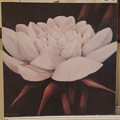 Rian Withaar Art