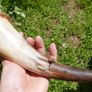 Vintage Hunting Horn 12" Image 2