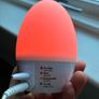 Gro Egg Image 2