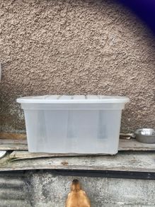 Plastic Container with lid