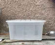Plastic Container with lid