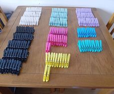 204 Pegs & Pegs Bags