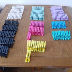 204 Pegs & Pegs Bags