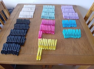204 Pegs & Pegs Bags
