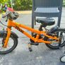 frog bike 43 Image 2