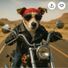 AdPilot