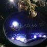 Christmas  Santa and raindear Image 10