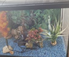 Aquarium/ fish tank