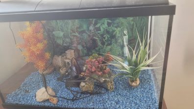 Aquarium/ fish tank
