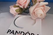 New genuine pandora bangle