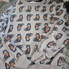 boys age 4 body warmer and sweatshirt. Worn once