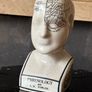 Ceramic Medical Model Image 5