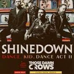 Shinedown early entry vip merch tickets x2