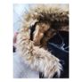 Zara Trafaluc beautiful warm coat in size M- 55% wool Image 3