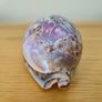Beautiful Carved Tiger Cowrie Shell Image 3