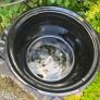Slow cooker Image 2