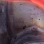 mid box norden 901/ ktm 890 catalytic converter Image 4