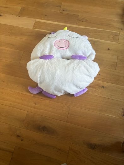 Childs Sleeping Bag