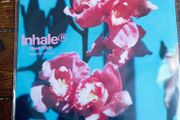 Inhaler Open Wide exclusive PINK vinyl