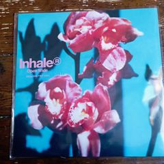 Inhaler Open Wide exclusive PINK vinyl