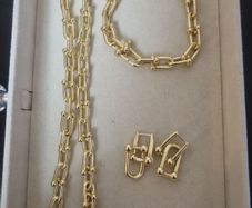 Necklace bracelet and earrings