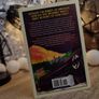 Travellers in the Third Reich ! The Rise of Fascism Through the Eyes of Everyday People ! 2017 ! by Elliott & Thompson ! History ! World War II Interest ! WWII ! Image 3