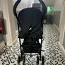 Buggy Image 2