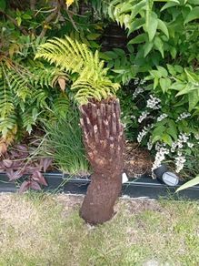 trees