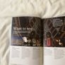 The Hampton Court  Royal Palace 2 books Image 3