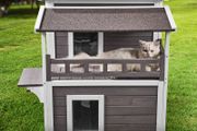 Outdoor Indoor  Cat House 2-story Wooden Feral Cat Shelter with Balcony &amp; Roof