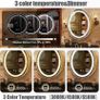 51cm Round Mirror Cabinet with Lights,with Defogger,Dimmable,Anti-Fog,3 Colors,Gold Image 7
