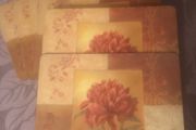 place mats x 6