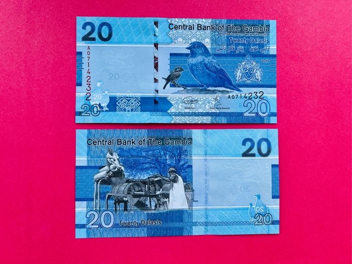 Gambia.  20  Dalasis. 2019  Pick 39a. ( Uncirculated )