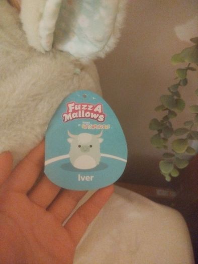 squishmallow