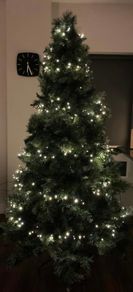 200 Christmas Lights