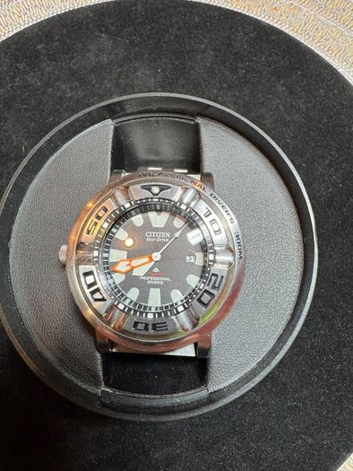 Citizen pro master (Ecozilla)