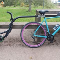 Tag along bike