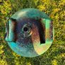 11.34 kg gas cylinder Image 3